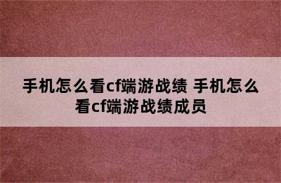 手机怎么看cf端游战绩 手机怎么看cf端游战绩成员